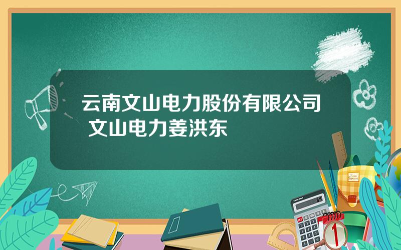 云南文山电力股份有限公司 文山电力姜洪东